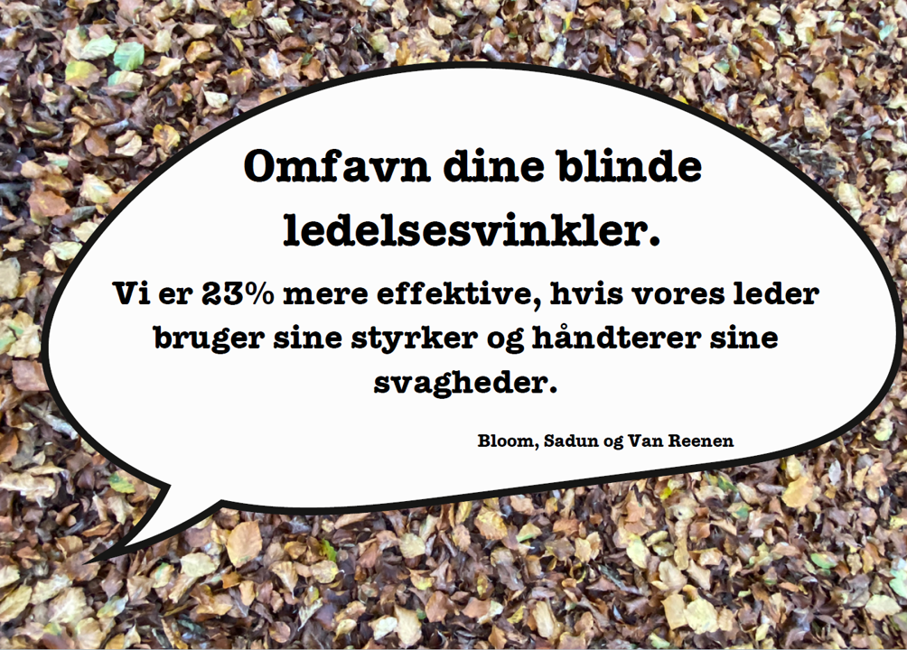 Blinde vinkler er ikke noget, du skal frygte. Tværtimod er de en mulighed for vækst – ikke kun som leder, men som menneske.